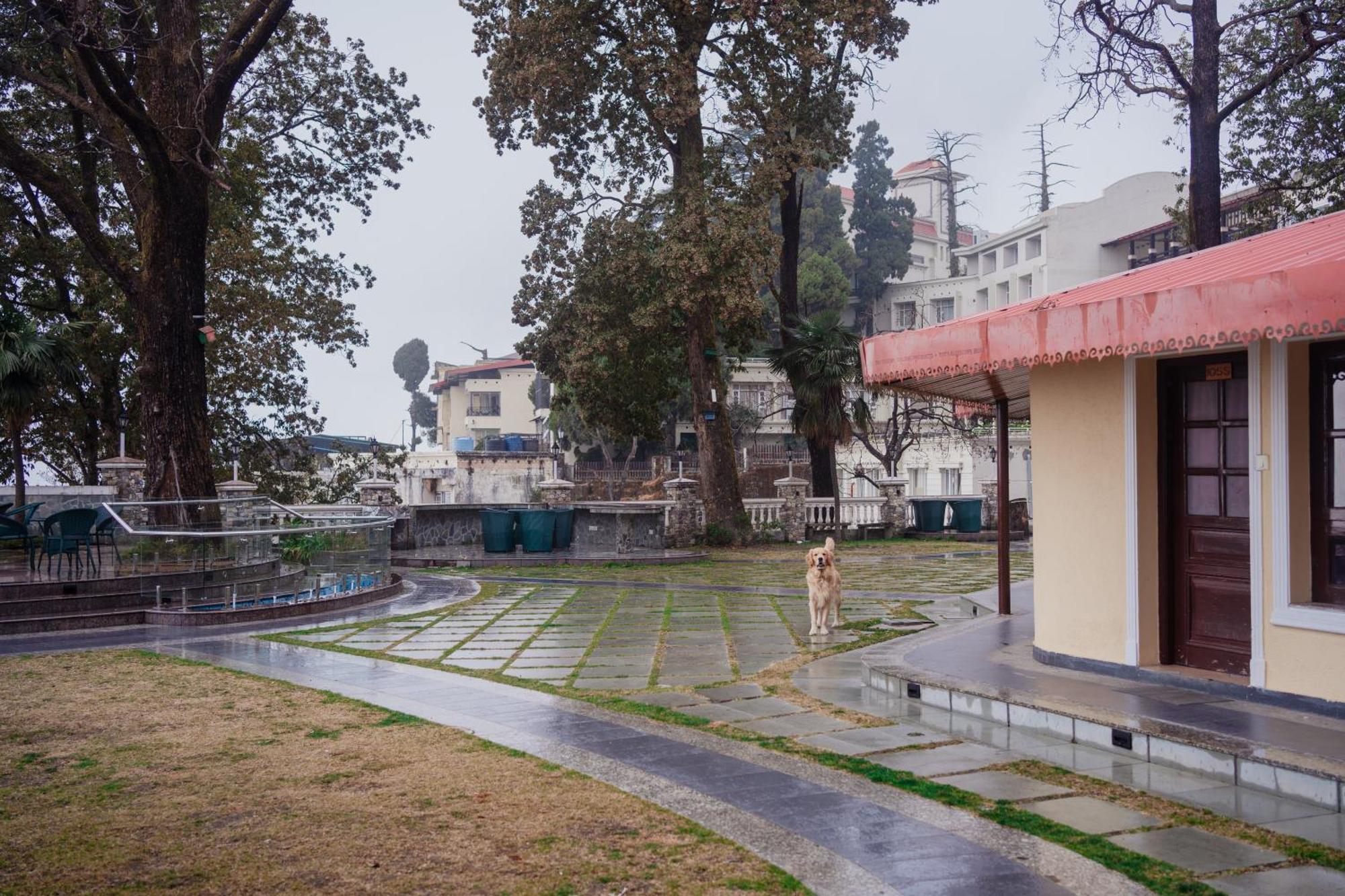 Hotel Bliss & Company By Hnh Mussoorie Exterior foto